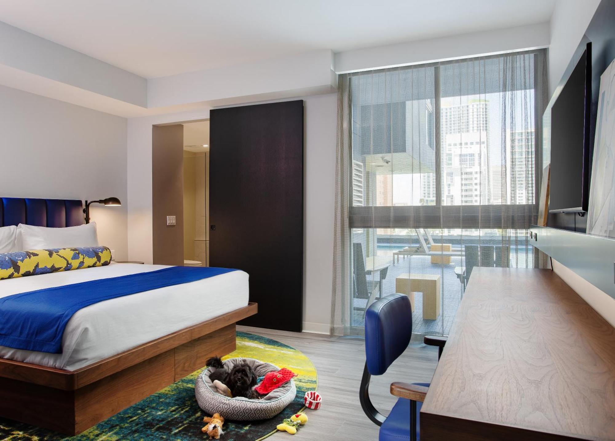 Hotel Indigo - Miami Brickell, an IHG Hotel Ruang foto